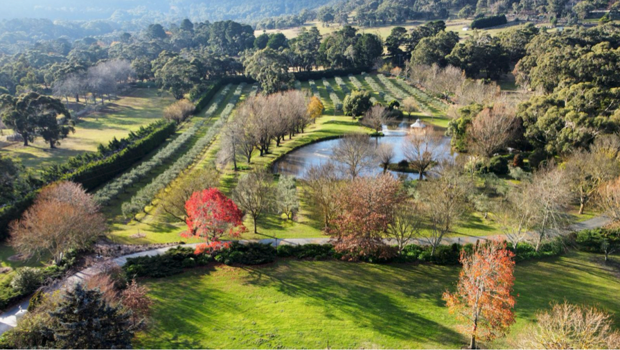 Olive Oil Purchase - Members & Invited Guests Only